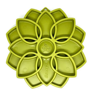A black and white dog eats treats from a green MANDALA ETRAY SLOW FEEDER ENRICHMENT DOG BOWL by SODA PUP on a light wooden floor in a cozy room with green plants and a beige chair.