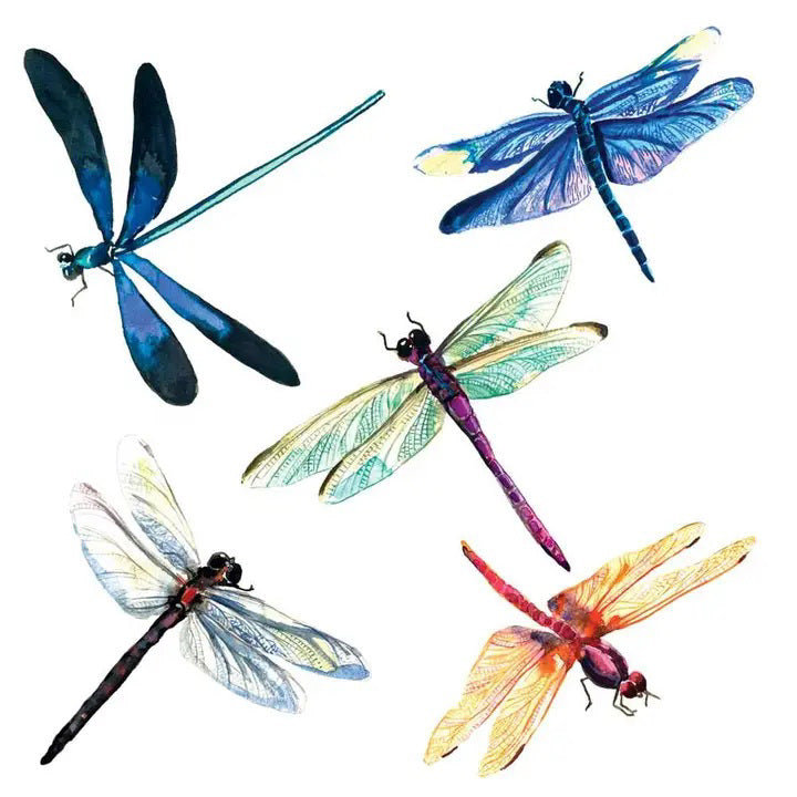 The LIBELULA BEVERAGE NAPKINS by PAPER PRODUCTS DESIGN feature five dragonflies with vibrant, detailed wings in blue, green, purple, and orange on white chlorine-free 3-ply paper.