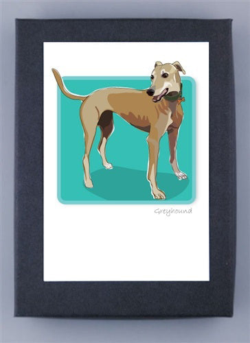 Framed illustration of a tan greyhound with a white chest on teal background. Crafted on recycled paper, the dog looks to the side with its tail raised. &quot;Greyhound&quot; inscribed below. Made in USA by PAPER RUSSELLS.
