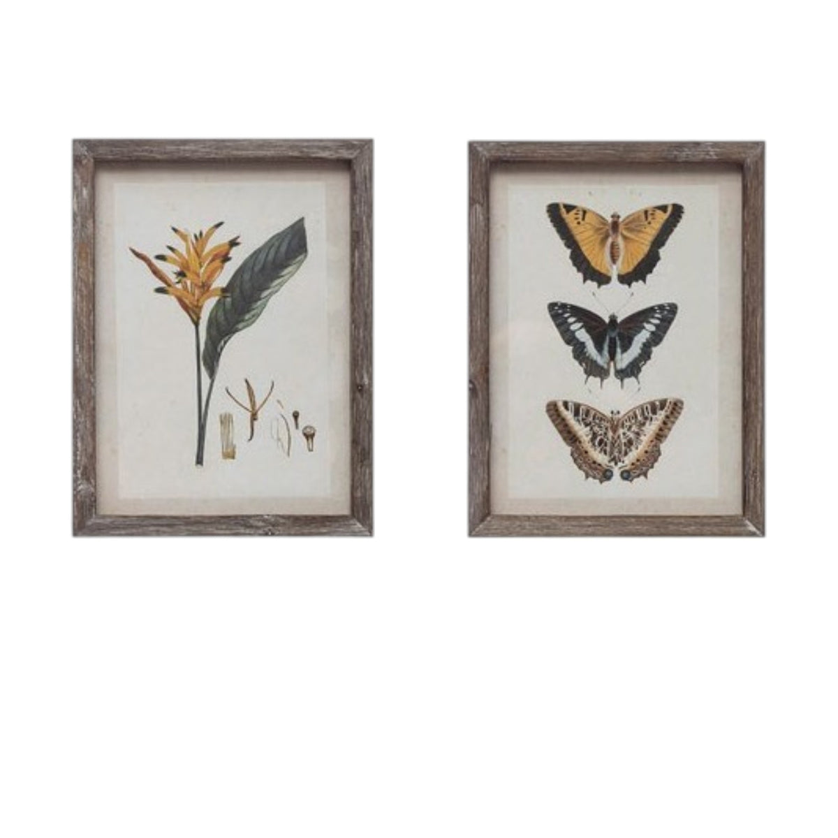 The CREATIVE COOP Wood-Framed Wall Art with Botanicals or Butterflies, Small, showcases a vintage botanical illustration of a yellow-orange flower and green leaves—timeless wall art displayed against a white background.