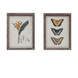The CREATIVE COOP Wood-Framed Wall Art with Botanicals or Butterflies, Small, showcases a vintage botanical illustration of a yellow-orange flower and green leaves—timeless wall art displayed against a white background.