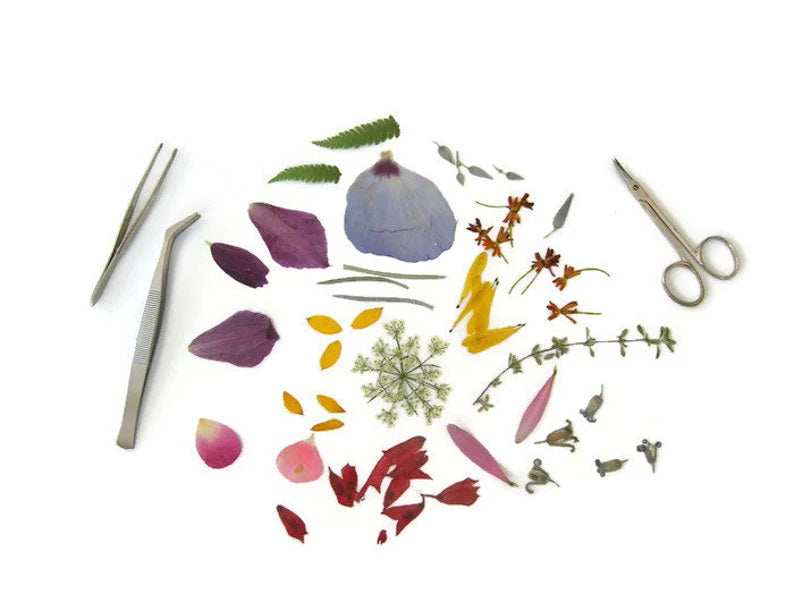 The PETAL PEOPLE PRESS - KNIT AND PURL GREETING CARD features a whimsical figure made from flower petals and leaves, with blue petal hair, a leafy jacket, and swirls of grass on a plain white background.