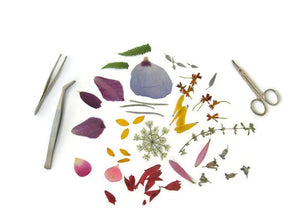 The PETAL PEOPLE PRESS - TEDDY BEAR GREETING CARD by PETAL PEOPLE PRESS features a whimsical design with pressed botanicals, depicting two figures created from leaves and flowers. The larger figure, embellished with pink petal hair, lovingly embraces the smaller one, which showcases a purple floral head while cuddling a purple leaf teddy bear—ideal for expressing heartfelt sentiments on Mother’s Day.