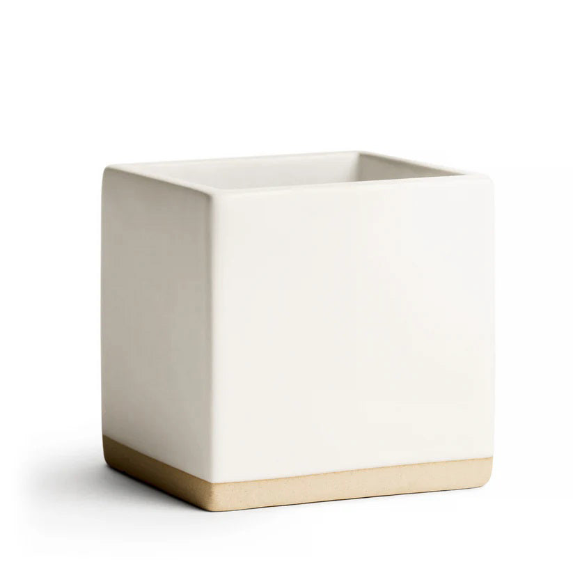 The E. FRANCES PAPER - LITTLE NOTES CERAMIC HOLDER - WHITE, designed as a modern minimalist ceramic cube gift box, contains decorative shredded paper and a gingerbread man-shaped white object, with the partially opened container revealing more shredded paper spilling out.