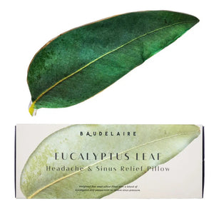 Baudelaire's Eucalyptus Headache/Sinus Relief Pillow features elegant eucalyptus packaging. Infused with a calming eucalyptus peppermint aroma, it's accentuated by real leaves and delicate yellow flowers for added tranquility.