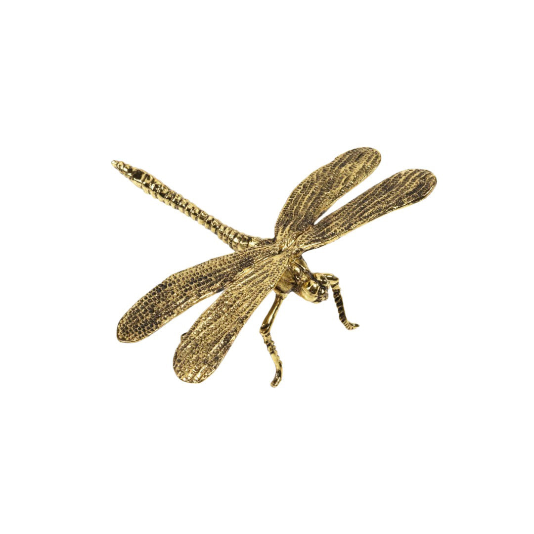 A detailed depiction of the ZODAX GOLD DRAGONFLY figurine with intricately textured wings and body, positioned on a white background. The dragonfly is shown from above, highlighting the delicate patterns on its wings and segmented details of its body. Dimensions: 4.75 in x 3.5 in x 1.5 in.