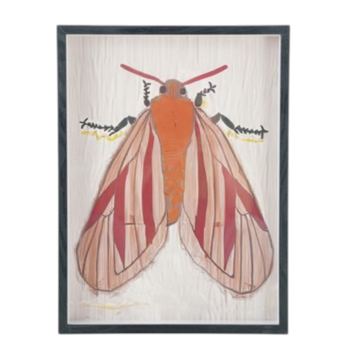 The CREATIVE COOP FRAMED ACRYLIC WALL ART, MOTHS features a vibrant moth with red and yellow wings, a yellow segmented body, and feathery antennae on a light background—ideal for botanical-themed décor.