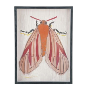 The CREATIVE COOP FRAMED ACRYLIC WALL ART, MOTHS features a vibrant moth with red and yellow wings, a yellow segmented body, and feathery antennae on a light background—ideal for botanical-themed décor.