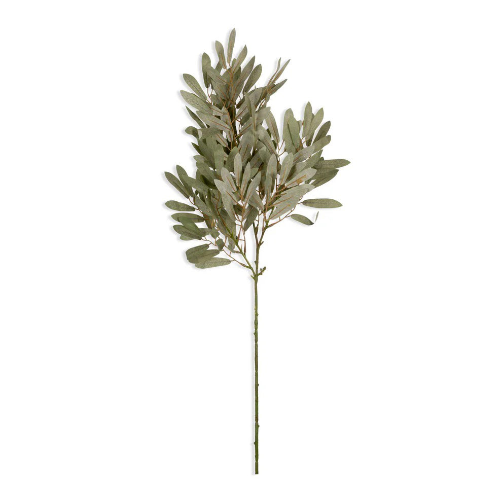 The ABIGAIL AHERN - WILLOW SOFT GREEN features multiple soft green, oval leaves on slender stems, ideal for flower arrangements or mixing with faux foliage, isolated on a white background.