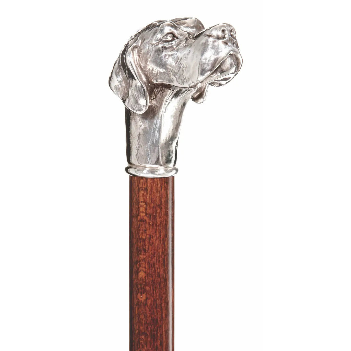 The HARVY CANES - LOYAL LABRADOR CANE by HARVY CANES features a beechwood shaft and a detailed silver plate handle shaped like a Labrador's head, facing upward and to the side.