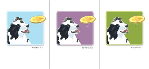 The PAPER RUSSELLS "Border Collie &amp; Frisbee" note card features an illustration of a Border Collie with its mouth open, eagerly looking at a flying yellow frisbee against a light blue background. The words "Border Collie" are written in small text below the illustration, and the card is printed on FSC-certified recycled paper.