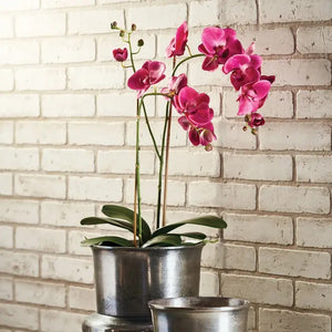 A NAPA HOME AND GARDEN Fuchsia Phalaenopsis Orchid Drop In, 29”, with lifelike blooms in a shiny silver pot, is displayed before a white brick wall; beside it sits an empty silver pot. This artificial plant needs no maintenance.