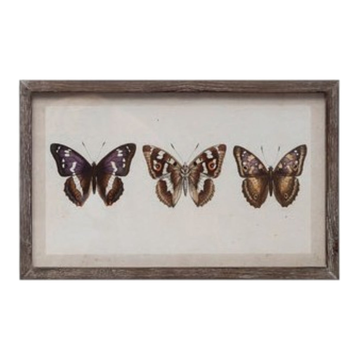 The CREATIVE COOP WOOD-FRAMED WALL ART WITH BOTANICALS OR BUTTERFLIES, MEDIUM, showcases four unique pressed leaves on a light background, adding rustic, vintage charm to any nature-inspired space.