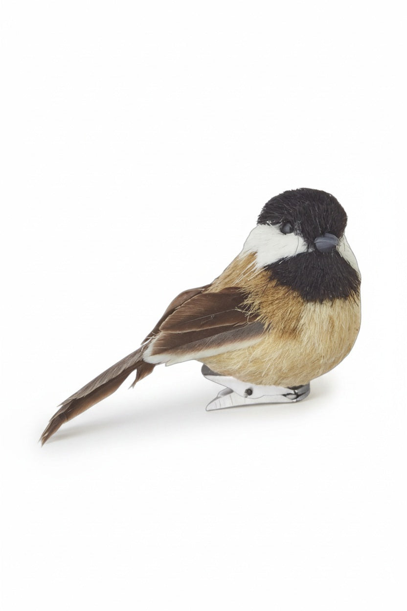 CLIP ON BIRD ORNAMENT by RAZ IMPORTS, featuring a small bird with a black head, white cheeks, and brown wings, with a metal clip on the base.