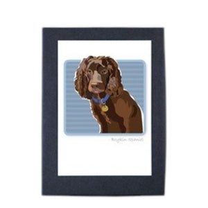 PAPER RUSSELLS - BOYKIN SPANIEL BOX NOTES features a framed illustration of a brown dog with long, wavy ears and a blue collar with yellow tag, on a light blue striped background. Printed on FSC certified recycled paper in the USA.