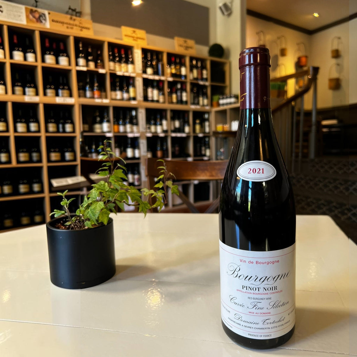 A bottle of TORTOCHOT BOURGOGNE PINOT NOIR 2021 with a white label and a small “2021” label on the bottle neck.