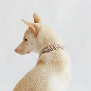 Two LAMBWOLF COLLECTIVE New Jupiter Collars in Moon, size Medium—one in light beige and the other in dark gray—are stacked on a light wooden cabinet against a plain light background. Each collar blends contemporary style with cushioned comfort for your pup.