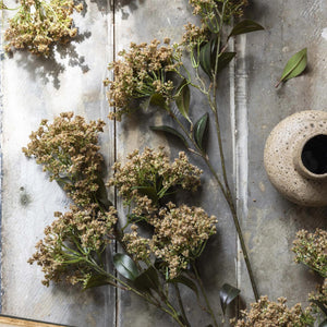 The ABIGAIL AHERN - BUTTERFLY BUSH features cream blooms and dark green leaves arranged on a rustic wooden surface beside a speckled ceramic vase, creating a textured, natural look with beautiful interplay of light and shadow.