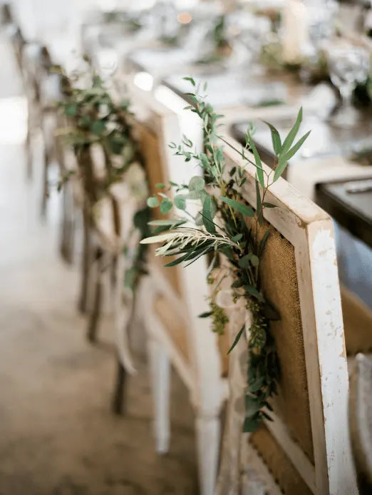 A close-up of vintage wooden chairs decorated with green foliage and leaves, arranged beside a table set for an event, creating a rustic and elegant ambiance.