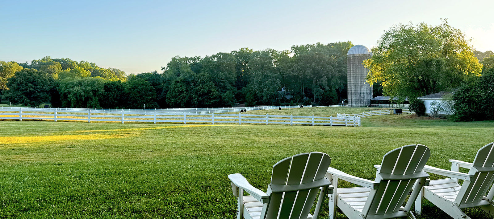 Three white Adirondack chairs face a sunlit grassy field with white fences, trees in the background, and a tall cylindrical silo near a barn under a clear blue sky.