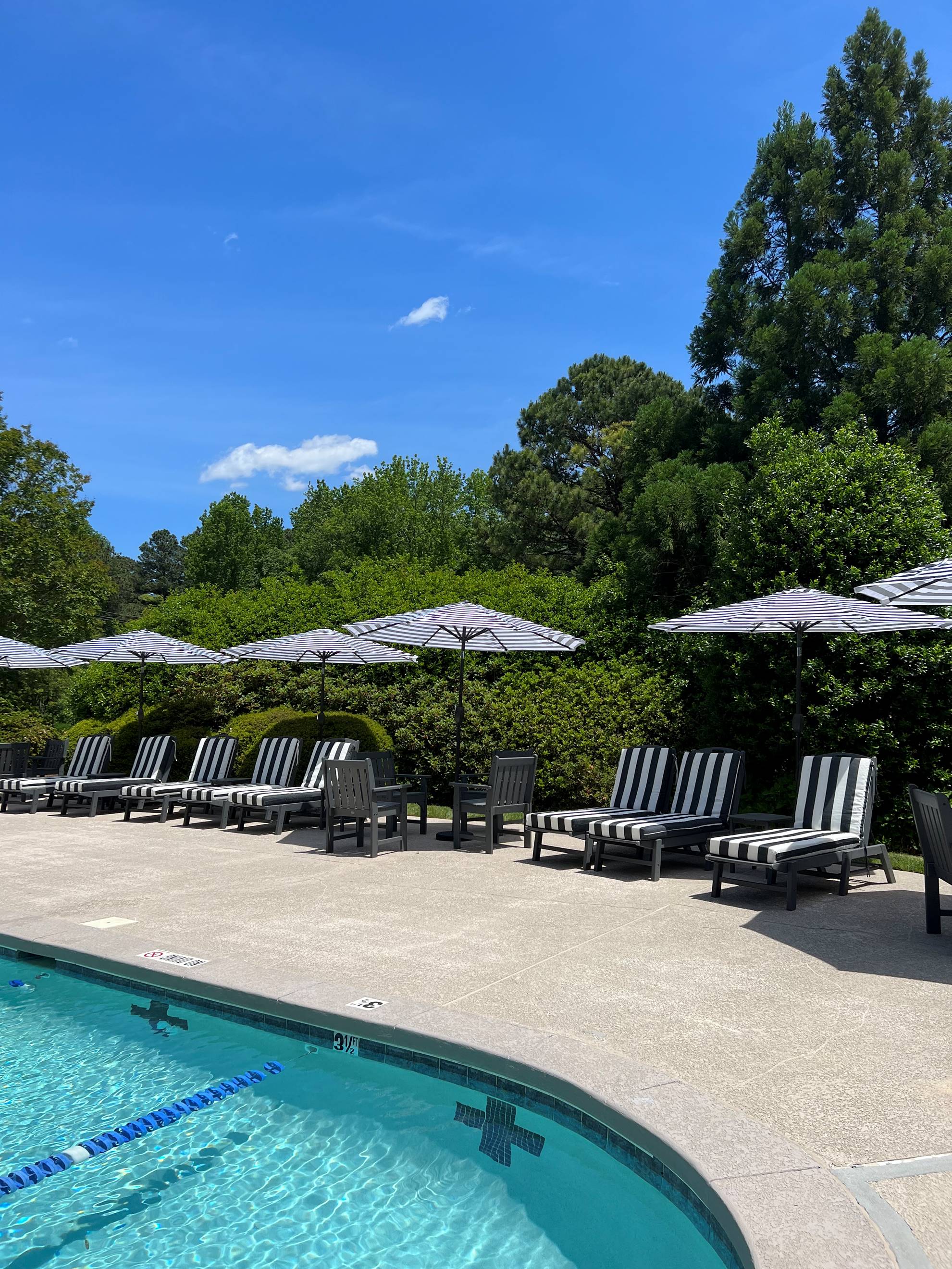 Several black-and-white striped lounge chairs and umbrellas line the edge of a pool on a sunny day, with green trees and shrubs in the background under a clear blue sky.