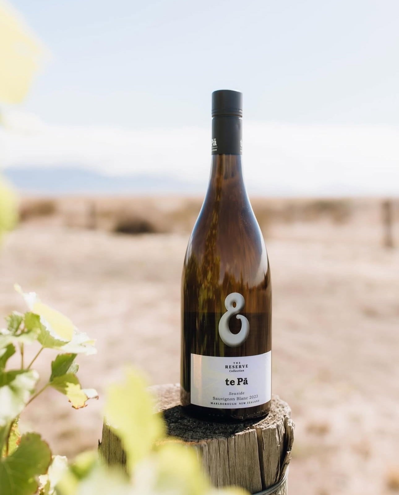 A bottle of te Pā Reserve Sauvignon Blanc wine stands on a wooden post outdoors, with blurred greenery and a bright, sunlit field in the background.