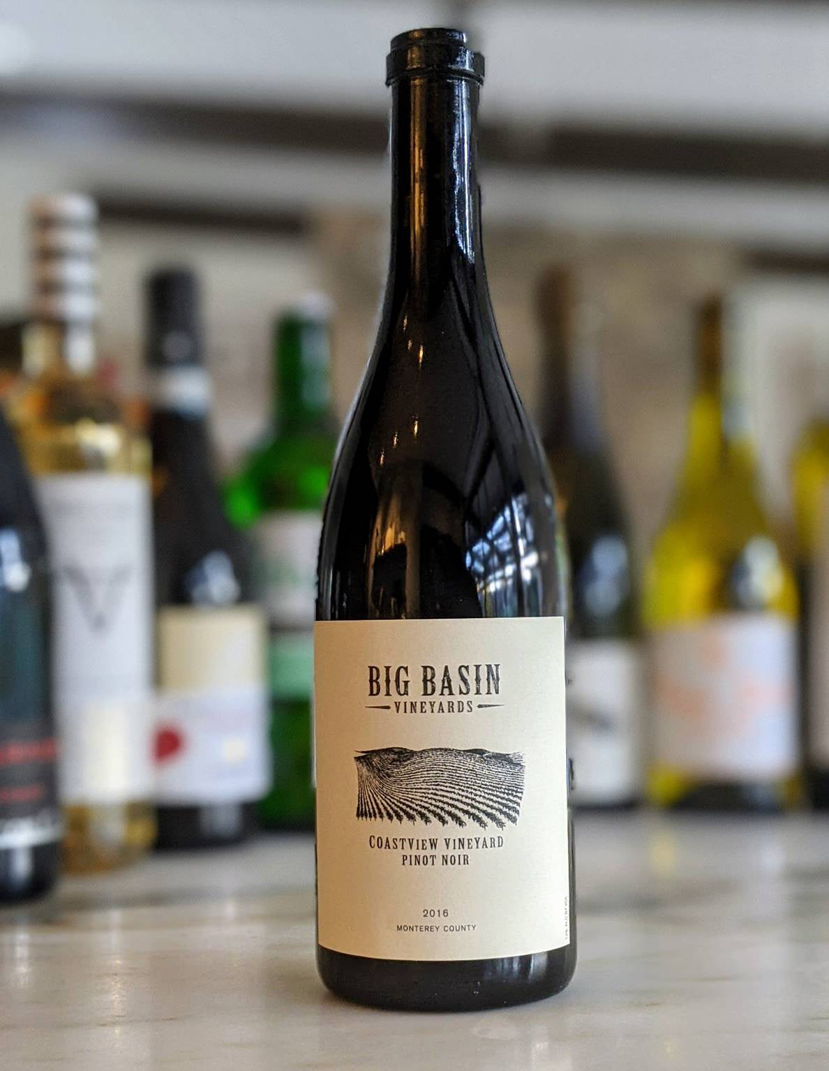 A bottle of Big Basin Vineyards Coastview Vineyard Pinot Noir wine is displayed on a marble counter, with blurred bottles of various wines and spirits in the background.