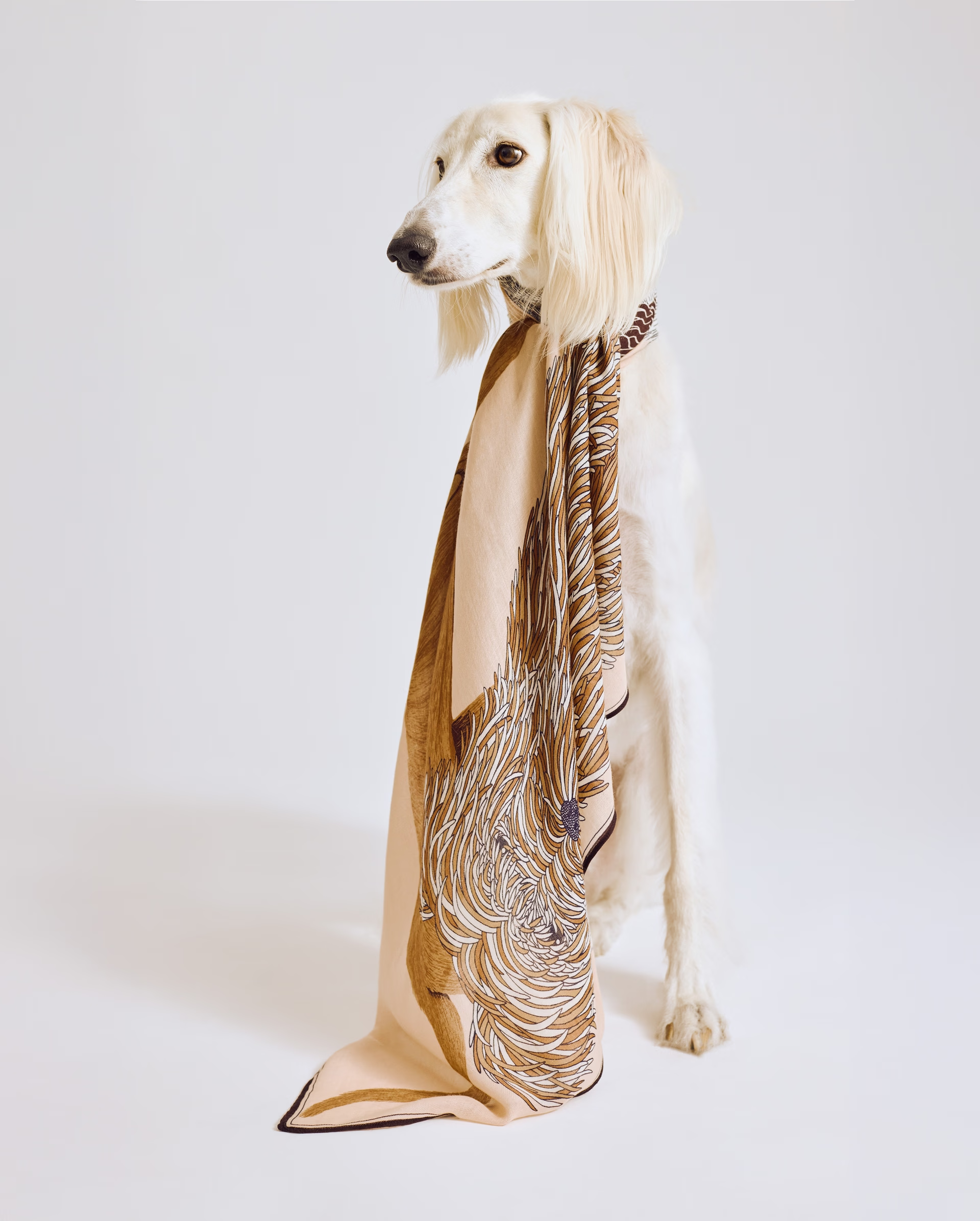 A white dog with long, silky fur sits against a plain background, draped in a patterned beige and brown scarf that hangs from its neck, giving a stylish and elegant appearance.