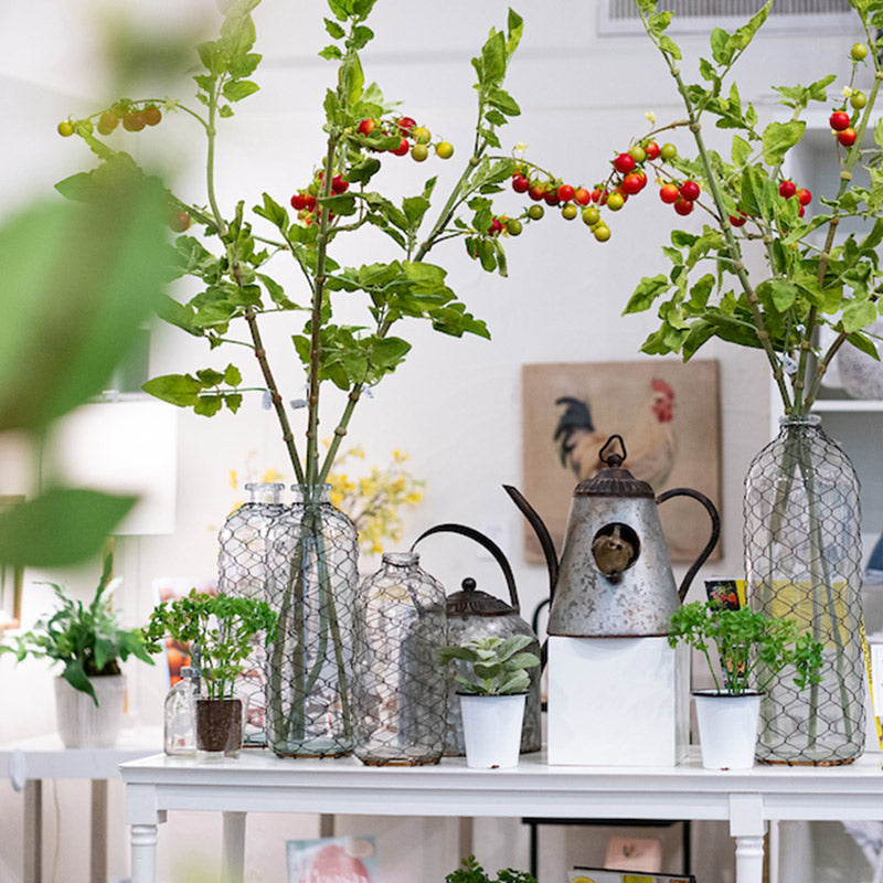A white table displays potted plants, glass vases with leafy branches and cherry tomatoes, and rustic metal kettles. The background has a rooster painting and blurred indoor plants, creating a cozy, farmhouse vibe.