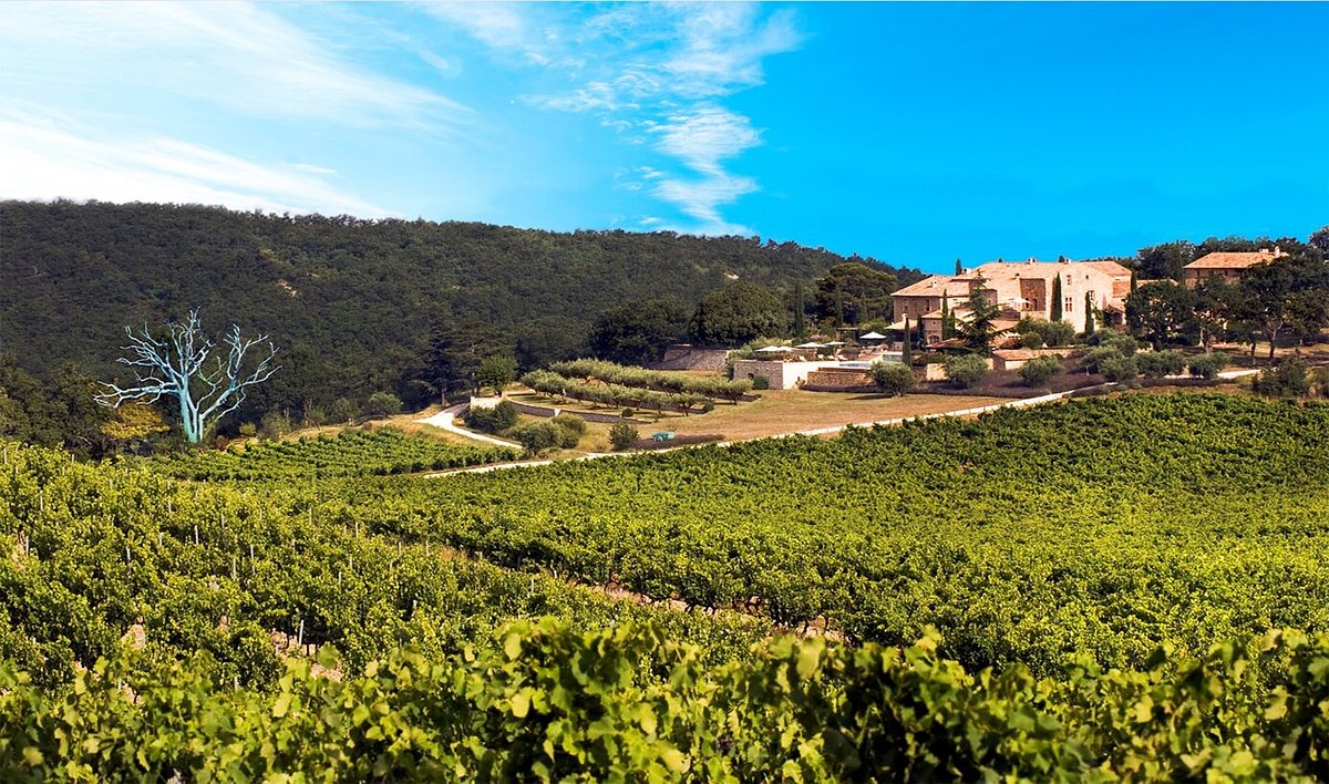 Nestled amid rolling green hills and lush forests, with winding lanes leading to the property and sunlight dancing through a partly cloudy sky, this enchanting estate offers breathtaking views of fields and distant mountains in the heart of the Southern Rhône Valley wine country. The idyllic setting is as inviting as attending a FEARRINGTON VILLAGE Chêne Bleu Wine Dinner, where biodynamic Super Rhônes await to be savored.
