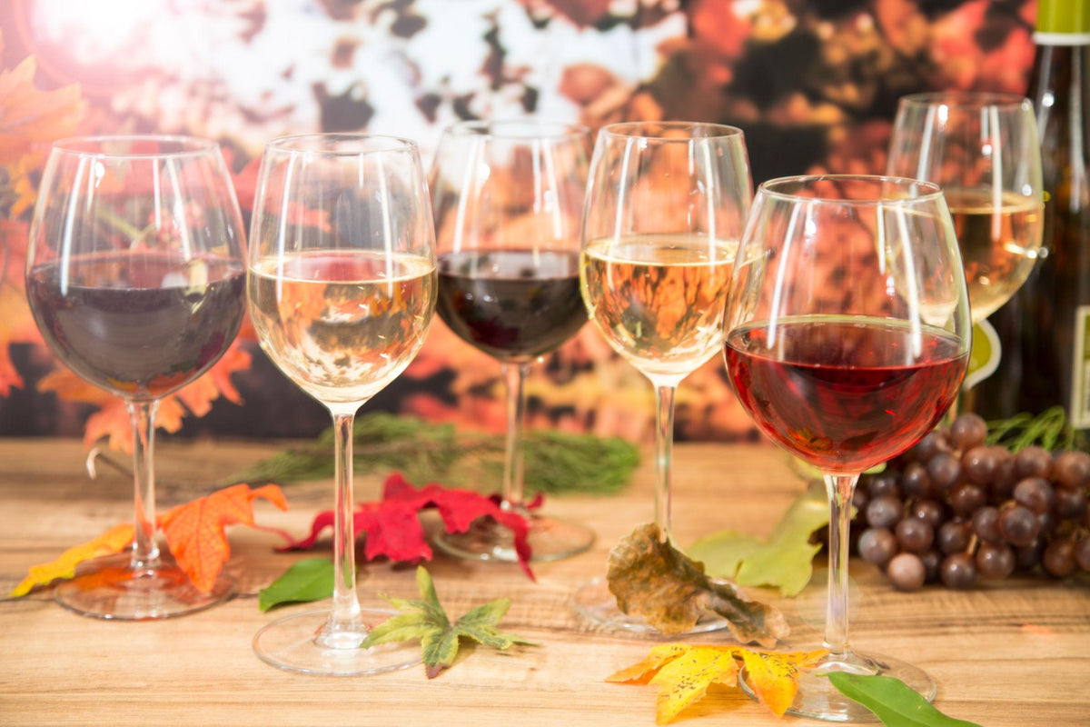 Five glasses of wine in varying shades of red, white, and rosé arranged on a wooden table with autumn leaves and grapes for a FEARRINGTON VILLAGE Wine Class - The Colors of Wine: Holiday Selections.