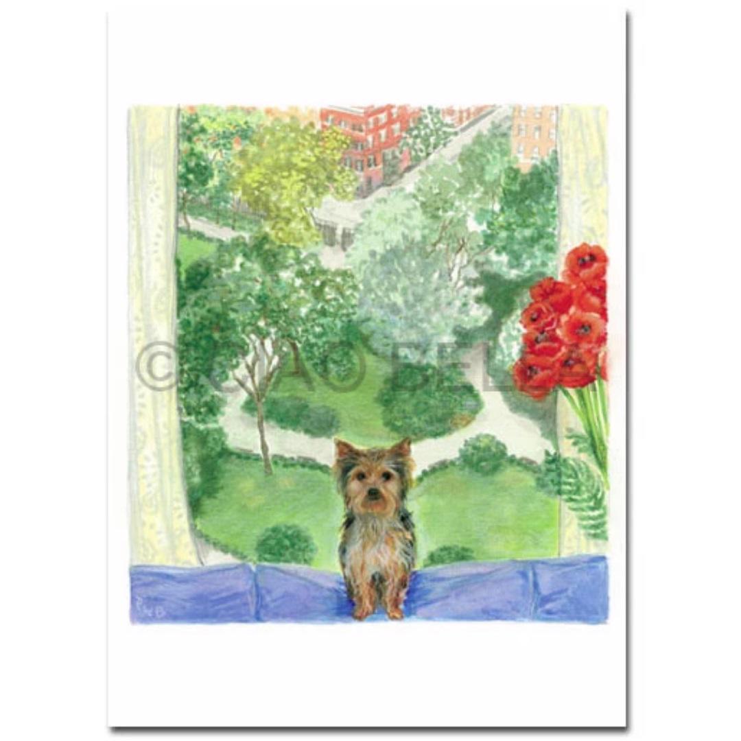 A small dog with light brown and black fur sits on a blue cushion by a window. Next to the dog lies a blank CIAO BELLA - GRAMERCY PARK CARD. The view outside shows a green park with trees and grass, and a cluster of red flowers is visible to the right. Buildings are in the background.