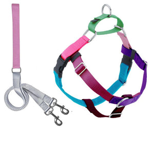 The NO PULL HARNESS LEASH (S, JELLYBEAN) by 2 HOUNDS DESIGN is a vibrant no-pull dog harness and leash set. The harness offers adjustable nylon straps available in various colors such as pink, green, teal, and purple. Featuring durable stainless steel hardware, the pink leash includes a looped handle and two metal clips at one end for secure attachment.