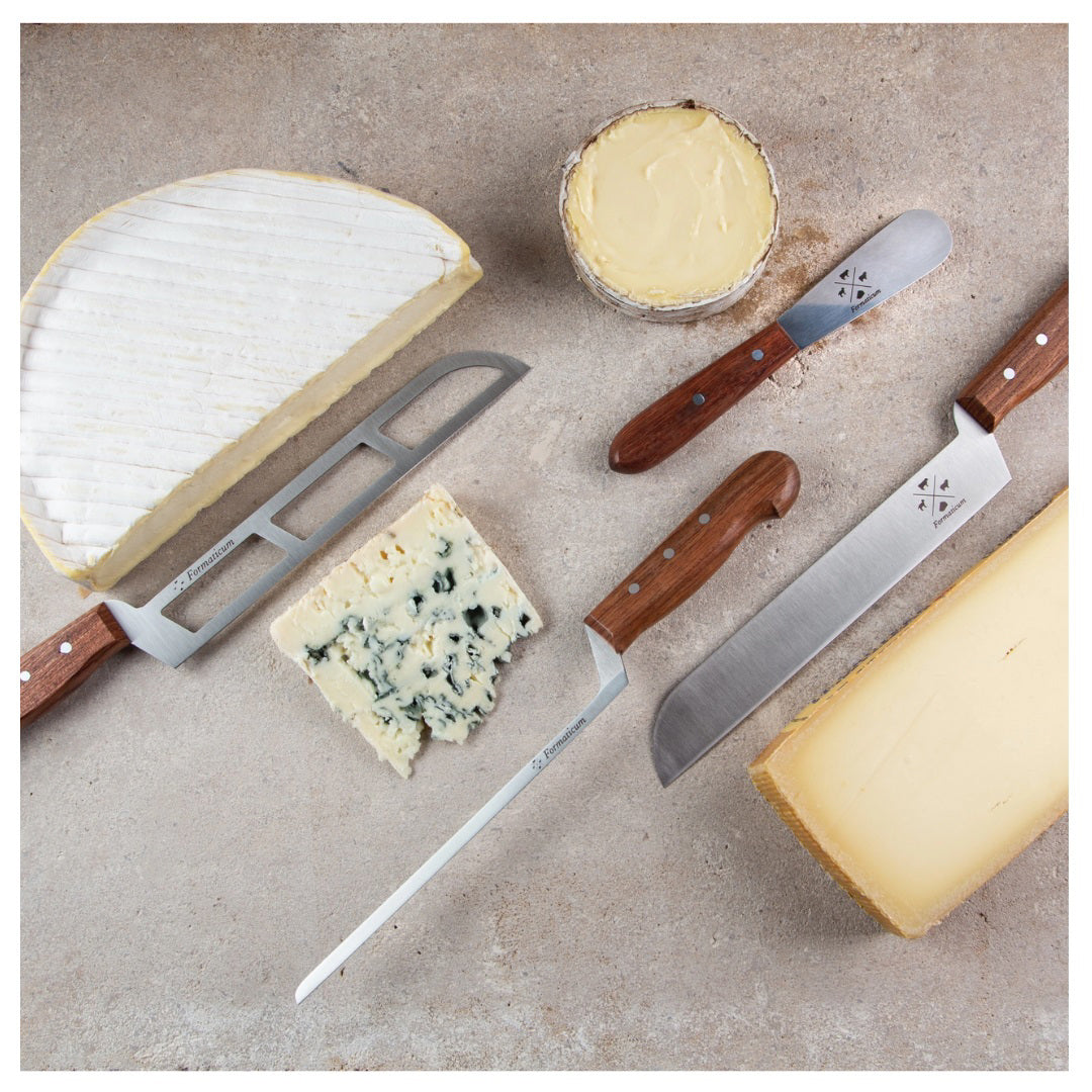 A selection of three professional cheese knives from FORMATICUM&#39;s KNIFE GIFT S4, handmade in Italy with stainless steel blades, is beautifully arranged on a stone surface alongside various cheeses. The assortment includes a large wedge of brie, a round of Camembert, blue cheese, and hard cheese. The knives feature wooden handles and are thoughtfully placed near their respective cheeses.