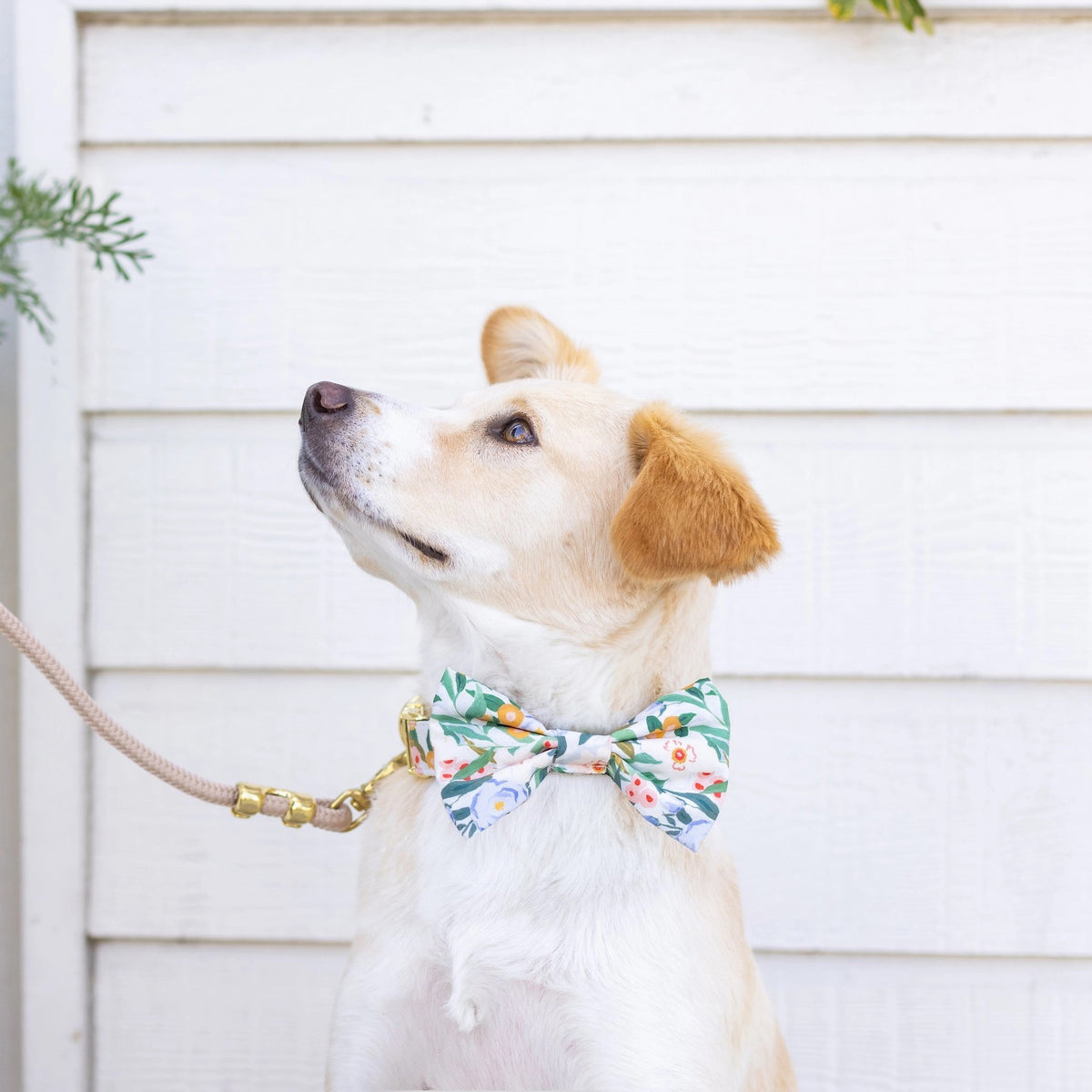 The DOG BOW TIE (STANDARD, GATHERED) by THE FOGGY DOG showcases a colorful floral pattern on a white background, featuring green leaves and flowers in shades of red, orange, and yellow. This vibrant and cheerful accessory is handcrafted in the USA, making it a perfect addition to your dog&#39;s accessories collection.