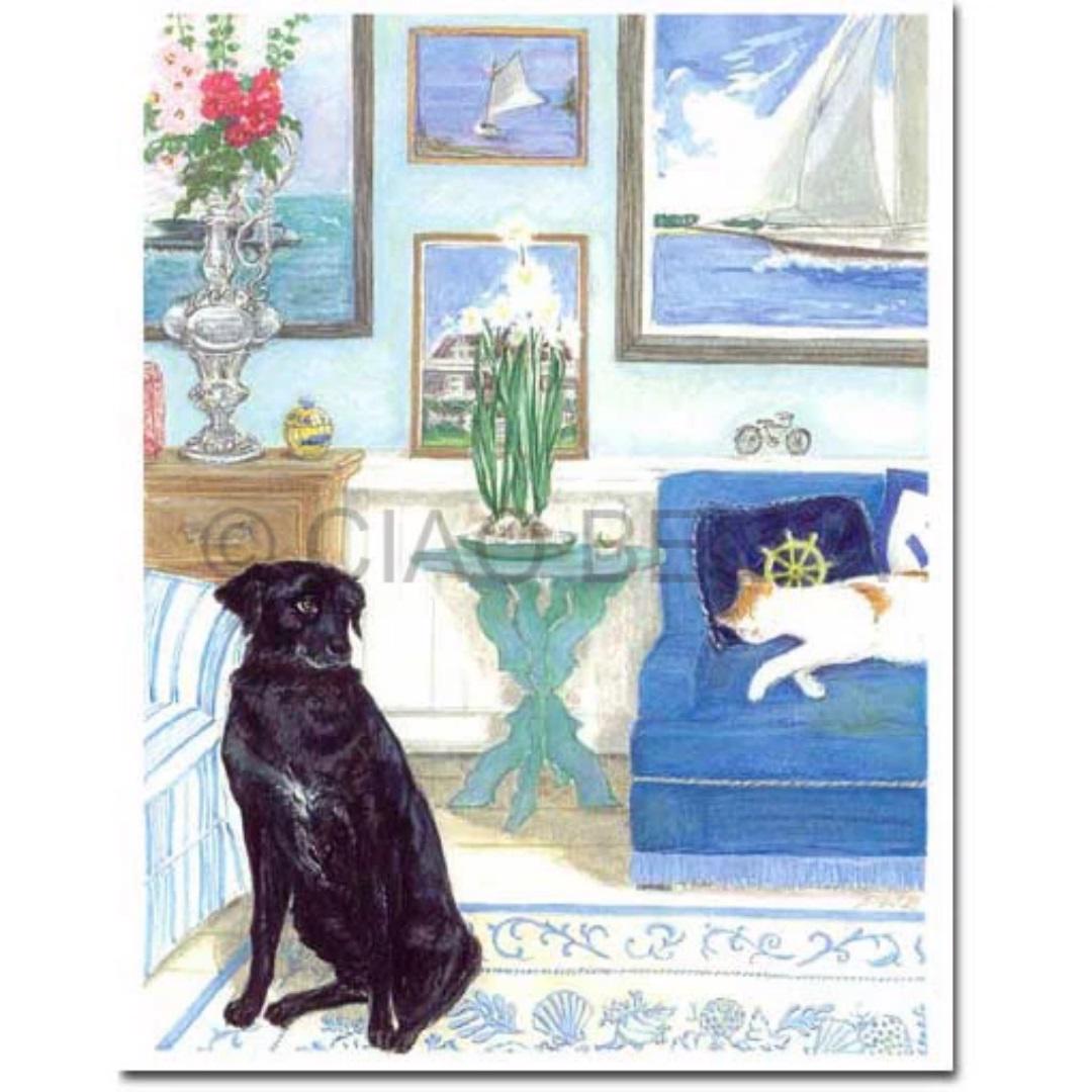 A cozy room with marine-themed decor featuring sailboat paintings on the walls. A CIAO BELLA - ADMIRAL CARD and a matching envelope sit on a wooden table nearby. A black dog sits attentively on the rug, while a white and orange cat sleeps on a blue couch. A bouquet of flowers and a potted plant add color to the scene.