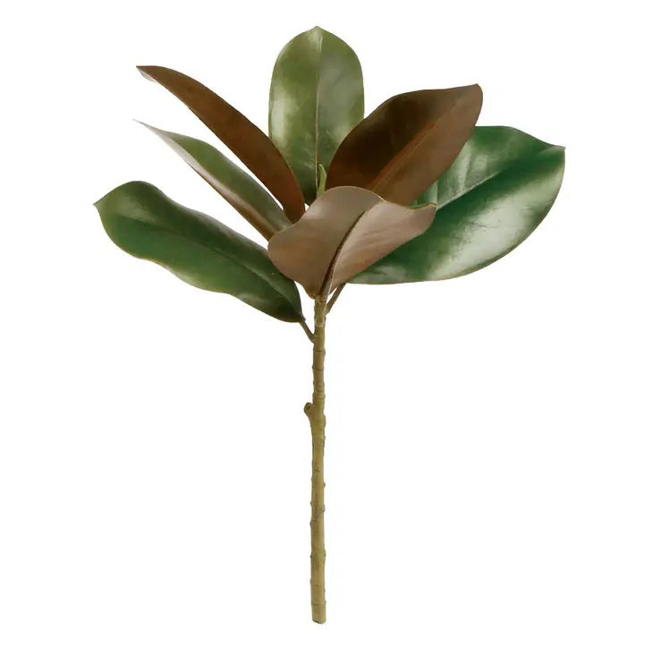 The NAPA HOME AND GARDEN - GRAND MAGNOLIA STEM features realistic green and brown magnolia leaves with a natural texture on a light brown stem. Perfect for any setting, this versatile piece is available for instore pickup.