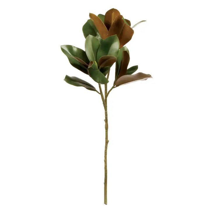 The NAPA HOME AND GARDEN - GRAND MAGNOLIA LEAF STEM, with its versatile green and brown leaves, beautifully complements any tablescape against a plain white background.