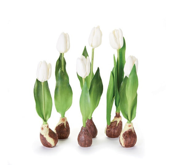 NAPA HOME AND GARDEN's Small Standing Tulips with Bulbs feature white flowers and green leaves, beautifully crafted on a pure white base.
