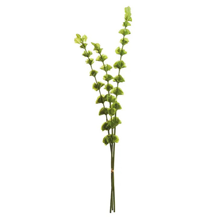 The NAPA HOME AND GARDEN - BELLS OF IRELAND - BUNDLE OF 3 features realistic long stems with evenly spaced, small, roundish green leaves on slightly curved stems for interior use, beautifully set against a plain white background.
