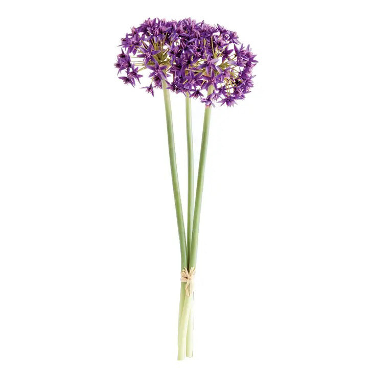 The NAPA HOME AND GARDEN - ALLIUM STEM BUNDLE OF 3 features tall, life-like purple alliums with spherical clusters on long green stems, tied at the base against a plain white background.