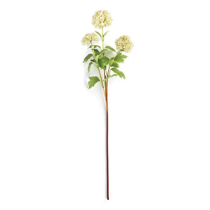 The NAPA HOME AND GARDEN - VIBURNUM STEM features lifelike white flower clusters and green leaves, ideal for indoor decor, displayed on a plain white background.