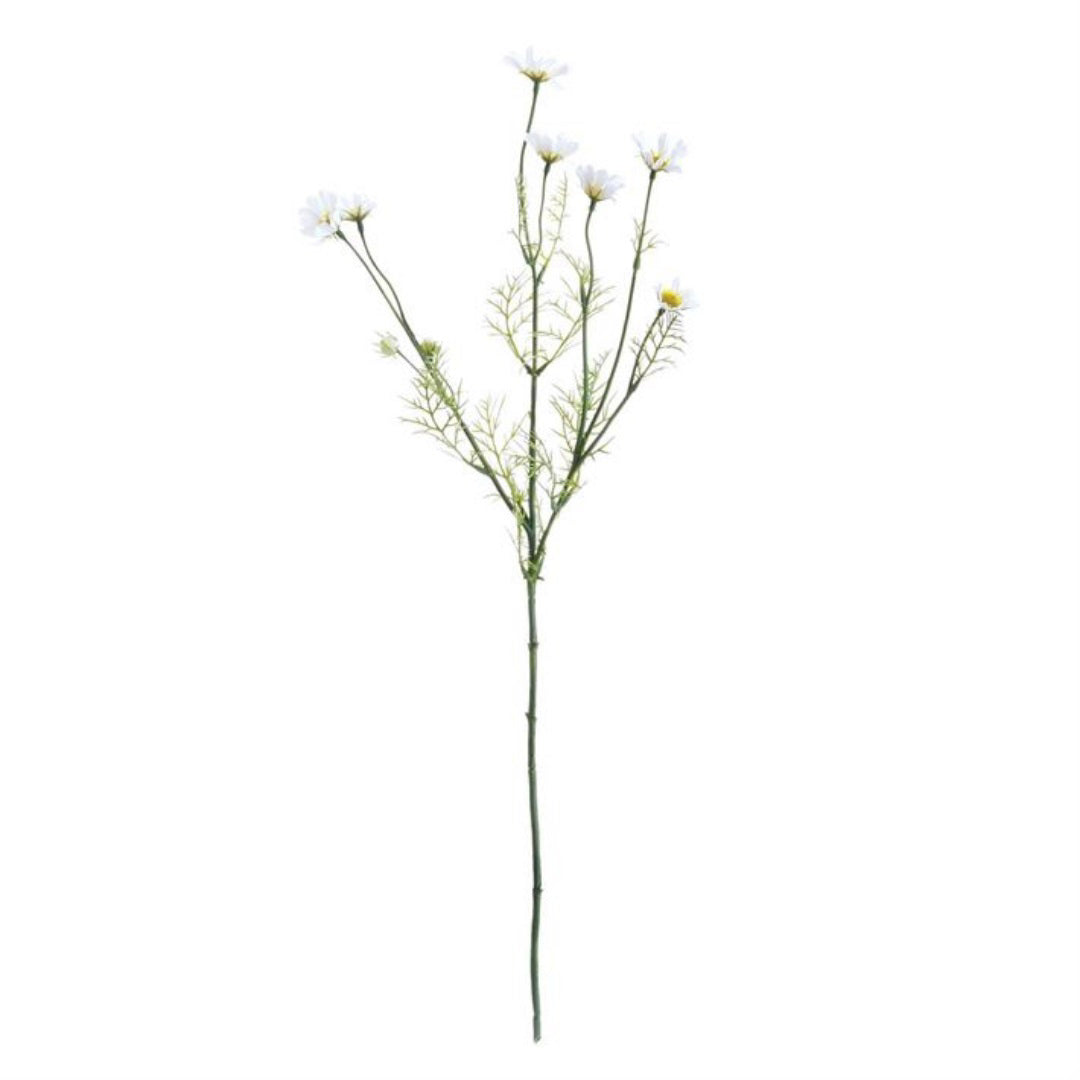 The NAPA HOME AND GARDEN - COSMOS STEM features multiple delicate white flowers with thin green leaves, beautifully arranged against a white background for a realistic appeal.