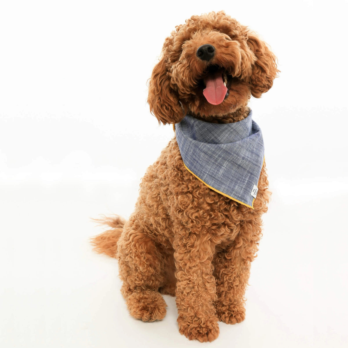 The BANDANA by THE FOGGY DOG is a handmade accessory from San Francisco, featuring a blue and gray checkered pattern with yellow piping around the edges. It can be tied in a knot at the top and includes a small white label at the bottom corner that reads &quot;THE FOGGY DOG.