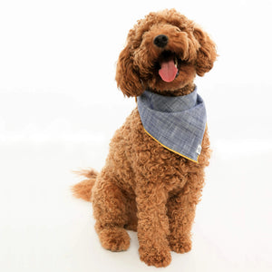 The BANDANA by THE FOGGY DOG is a handmade accessory from San Francisco, featuring a blue and gray checkered pattern with yellow piping around the edges. It can be tied in a knot at the top and includes a small white label at the bottom corner that reads "THE FOGGY DOG.