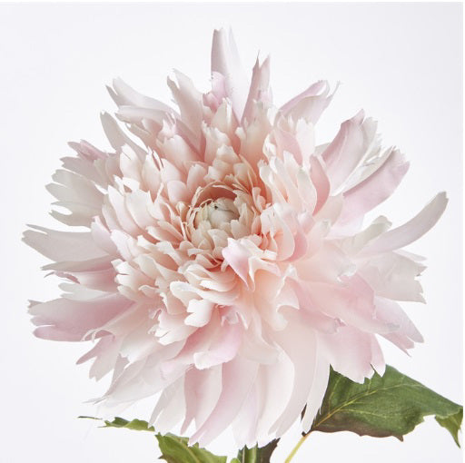 A life-like pink chrysanthemum by Napa Home and Garden blooms on a slender green stem with leaves, set against a white backdrop.