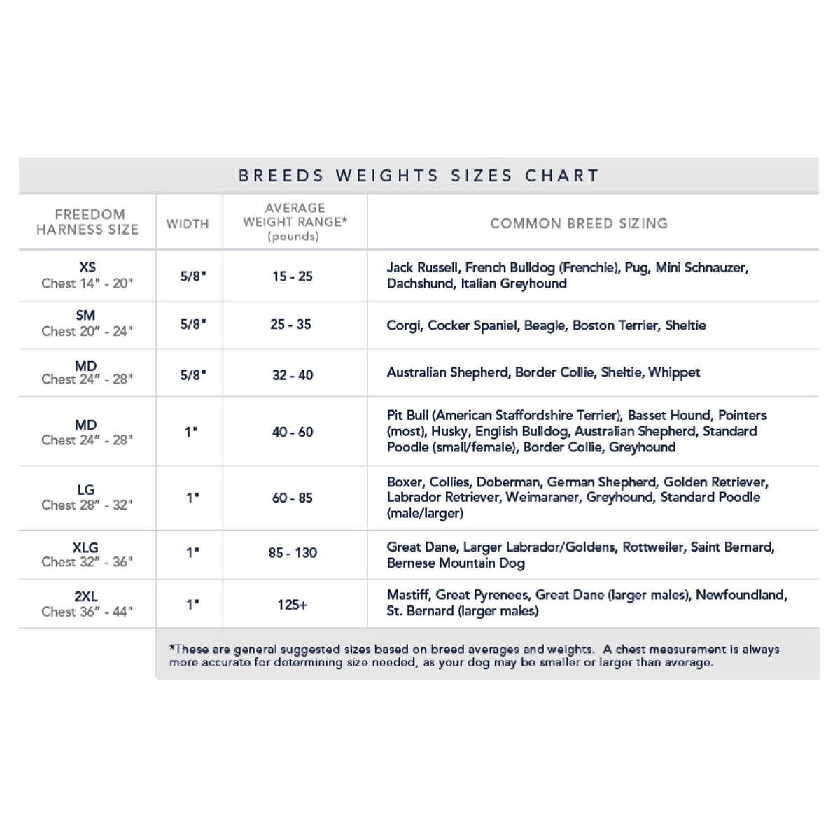 The NO PULL HARNESS LEASH (S, JELLYBEAN) by 2 HOUNDS DESIGN is a vibrant no-pull dog harness and leash set. The harness offers adjustable nylon straps available in various colors such as pink, green, teal, and purple. Featuring durable stainless steel hardware, the pink leash includes a looped handle and two metal clips at one end for secure attachment.