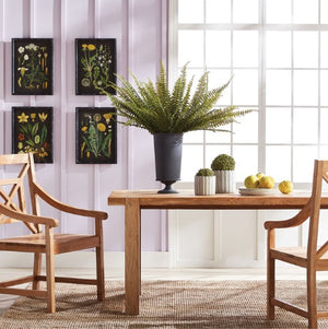 The NAPA HOME AND GARDEN - BOSTON FERN BUNDLE features lush green leaves tied with twine, highlighting intricate details against a white background.