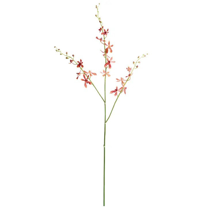 The NAPA HOME AND GARDEN - ORCHID STEM - ORANGE resembles a realistic botanical illustration with a thin green stem featuring multiple small, delicate pinkish-red flowers evenly spaced along the upper half, set against a plain white background, perfect for any home in a simple vase.