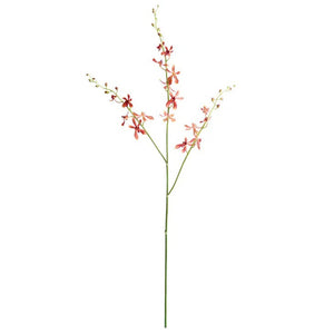The NAPA HOME AND GARDEN - ORCHID STEM - ORANGE resembles a realistic botanical illustration with a thin green stem featuring multiple small, delicate pinkish-red flowers evenly spaced along the upper half, set against a plain white background, perfect for any home in a simple vase.